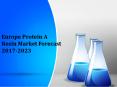 Europe Protein A Resin Market Forecast 2017-2023 PowerPoint PPT Presentation
