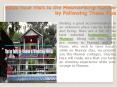Make Your Visit to the Mesmerising Munnar by Following These Tips PowerPoint PPT Presentation