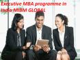 You work Executive MBA programme in India PowerPoint PPT Presentation