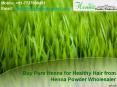 Buy Pure Henna for Healthy Hair from Henna Powder Wholesaler