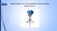 Global Radar Level Transmitters Sales Market Report 2017 PowerPoint PPT Presentation