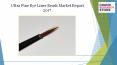 Ultra fine eye liner brush market report 2017 PowerPoint PPT Presentation