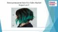 Semi permanent hair dye sales market report 2017 PowerPoint PPT Presentation
