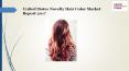 United states novelty hair color market report 2017 PowerPoint PPT Presentation