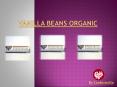 Organic vanilla Beans online in USA PowerPoint PPT Presentation