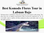 Best Komodo Flores Tour in Labuan Bajo