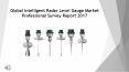 Intelligent Radar Level Gauge Market Professional Survey Report 2017 PowerPoint PPT Presentation