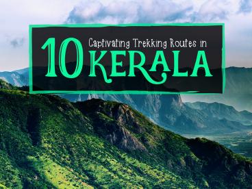 10 Captivating Trekking Routes in Kerala