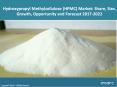 Global Hydroxypropyl Methylcellulose (HPMC) Market Share, Size and Forecast 2017-2022 PowerPoint PPT Presentation