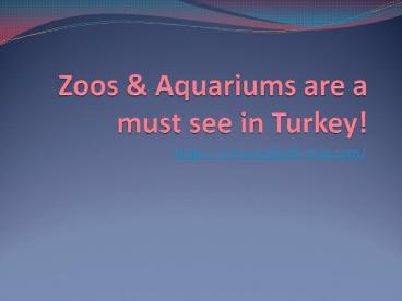 Zoos & Aquariums are a must see in Turkey!