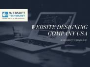 Website Designing Services in USA (1)