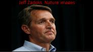 Jeff zadoks nature images