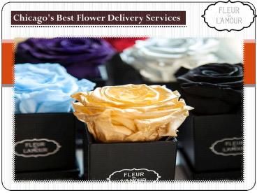Chicago's Best Flower Delivery Services (1)