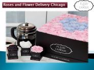 Roses and Flower Delivery Chicago