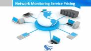 Network monitoring service pricing