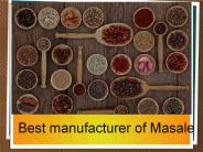 Best manufacturer of Masale (7)