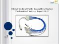 Global Medical Cable Assemblies Market Professional Survey Report 2017 PowerPoint PPT Presentation