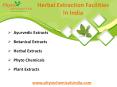 Phyto Chemicals - Herbal Extraction, Phyto Extracts Manufacturer in India