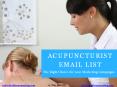 Acupuncturist Email List PowerPoint PPT Presentation