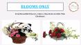 Send Beautiful Flowers, Cakes, Chocolates & Gifts This Christmas to Pune  – Blooms Only PowerPoint PPT Presentation