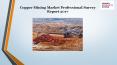 Copper Mining Market Professional Survey Report 2017 PowerPoint PPT Presentation