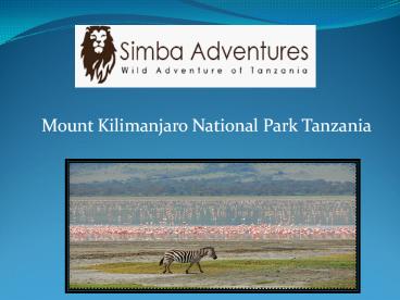 Mount Kilimanjaro National Park Tanzania