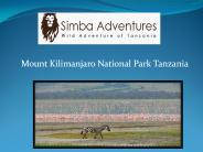 Mount Kilimanjaro National Park Tanzania