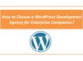 How to Choose a WordPress Development Agency for Enterprise Companies? PowerPoint PPT Presentation
