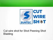 Steel Cut Wire Shot for shot blasting (2)