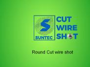 Round Cut wire shot (3)