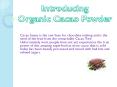 Organic Cacao Powder is Best Antioxidants