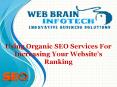 Using Organic SEO Services For Increasing Your Website’s Ranking PowerPoint PPT Presentation
