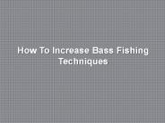 How To Increase Bass Fishing Techniques