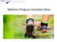 Wellness Program Incentive Ideas