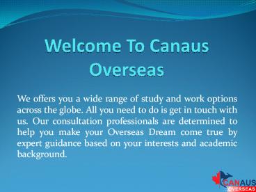 Immigration Agents in Punjab