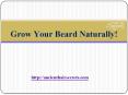 Make Your Beard Healthy with Natural Beard Growth Products PowerPoint PPT Presentation