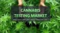 Cannabis Testing Market Trends, Share, Revenue, Analysis 2017-2025 PowerPoint PPT Presentation