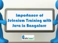 Importance of Selenium Training with Java in Bangalore PowerPoint PPT Presentation