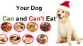 Food That Dog Can And Can't Eat In Christmas PowerPoint PPT Presentation