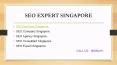 SEO  Expert Services Singapore  Best SEO Company in Singapore PowerPoint PPT Presentation