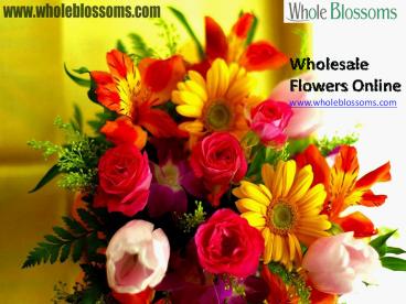 Wholesale Flowers Online - www.wholeblossoms.com