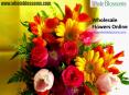 Wholesale Flowers Online - www.wholeblossoms.com PowerPoint PPT Presentation
