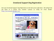 Emotional Support Dog Registration (2)