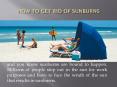 How to Get Rid Of Sunburns PowerPoint PPT Presentation