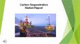 Carbon Sequestration Market Size, Status and Forecast 2022 PowerPoint PPT Presentation