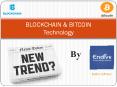 How Blockchain & Bitcoin Technology  Development Work : Endive Software