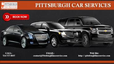 Executive Limousine Service (1)