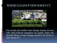 Water Cleanup New Haven CT