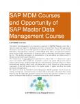 SAP MDM Course PowerPoint PPT Presentation