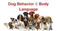 Guide to understand Dogs Behavior & Body Language PowerPoint PPT Presentation